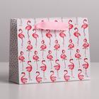 Пакет подарочный ламинированный горизонтальный, упаковка, «Фламинго», S 15 х 12 х 5,5 см - фото 3012244