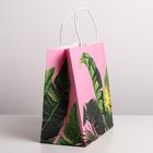 Пакет подарочный крафтовый, упаковка, «Тропики», 22 х 22 х 11 см (комплект 6 шт) - фото 46537070