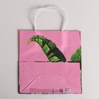 Пакет подарочный крафтовый, упаковка, «Тропики», 22 х 22 х 11 см (комплект 6 шт) - фото 46537071