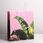 Пакет крафтовый «Тропики», 26 × 30 × 11,5 см (6 шт) - фото 809009831