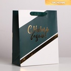 Пакет подарочный новогодний ламинированный «Чудес в Новом году», MS 18×23×10 см 4843459