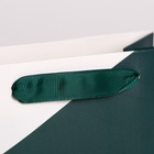 Пакет подарочный новогодний ламинированный «Чудес в Новом году», MS 18×23×10 см 4843459