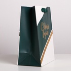 Пакет подарочный новогодний ламинированный «Чудес в Новом году», MS 18×23×10 см 4843459