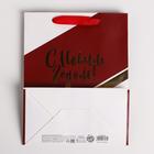 Пакет подарочный новогодний ламинированный «Счастья в Новом году», MS 18 х 23 х 10 см (комплект 6 шт) - фото 47492770