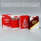 Пакет подарочный новогодний ламинированный «Счастья в Новом году», MS 18 х 23 х 10 см (комплект 6 шт) - фото 47492771