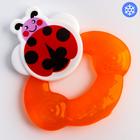 Прорезыватель DOTTY BUG, охлаждающий, цвет МИКС - Фото 1