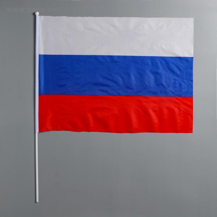 Флаг России, 40 х 60 см, шток 60 см, полиэфирный шёлк - Фото 1