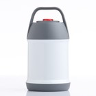 Термос для еды TAKE IT EASY, 450 мл, 9×17.5 см, нержавеющая сталь, белый, серый - Фото 1