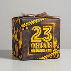 Коробка подарочная складная, упаковка, «С 23 февраля!», 12 х 12 х 12 см - фото 9087218