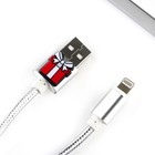 Набор держатель для провода + кабель для Apple (Lightning) «Happy meow year», 1А, 1м - фото 51451269 Набор держатель для провода + кабель для Apple (Lightning) «Happy meow year», 1А, 1м - фото 51451269