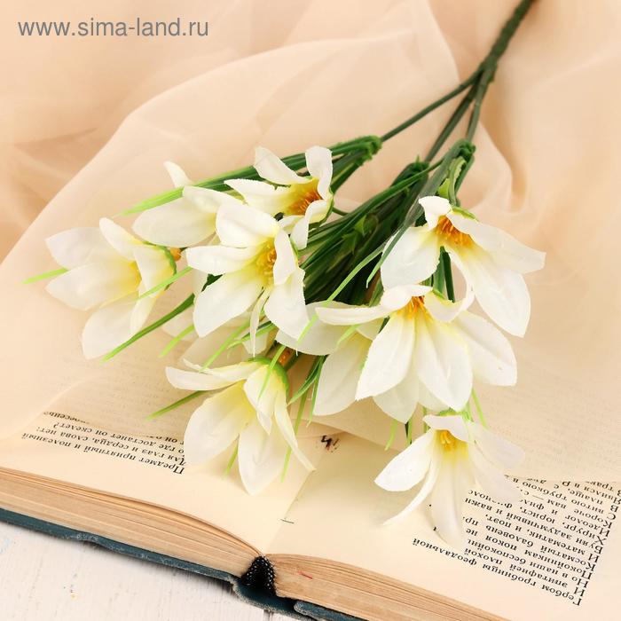 

Букет "Альстрёмерия" 28 см, микс