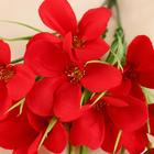 Букет «Фресия», 28 см, МИКС 5202027