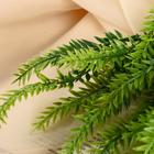 Букет искусственный «Пышный папоротник», h=35 см - фото 25403848