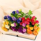 Букет «Бархатцы», 30 см, МИКС 5202904