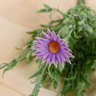 Букет искусственный «Мелколепестник», h=42 см, МИКС (комплект 2 шт) - фото 60787379