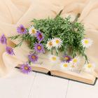 Букет искусственный «Мелколепестник», h=42 см, МИКС (комплект 2 шт) - фото 60787380