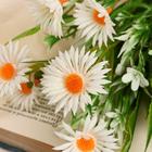 Букет искусственный «Эригерон», 32 см, МИКС 5202924