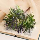 Букет "Традесканция" 30 см, микс (2 шт) - фото 809297253