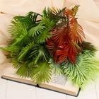 Букет "Саговник" 40 см, микс - фото 24378339