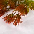 Букет "Оболонь" 30 см, микс - фото 25673247