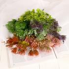 Букет "Оболонь" 30 см, микс - фото 25673248