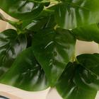 Букет искусственный «Зелёный лист», 32 см - фото 25415370 Букет искусственный «Зелёный лист», 32 см - фото 25415370