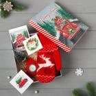 Новогодний подарочный набор Merry Xmas, варежки р-р 19 и акс (4 предм) - фото 9087886