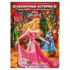 «Сказочные истории Рождество в замке. Принцесса Disney» - фото 9088124