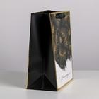 Пакет подарочный новогодний ламинированный «Сказочная ночь», MS 18?23?10 см (комплект 6 шт) - фото 68048951