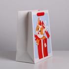 Пакет подарочный новогодний ламинированный «Пёсик», MS 18×23×10 см 4843347