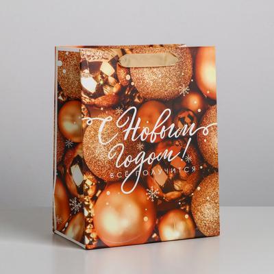 Пакет подарочный новогодний ламинированный «Всё получится!», MS 18 х 23 х 10 см