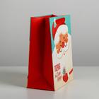 Пакет ламинированный вертикальный «Подарок от Деда Мороза», MS 18 × 23 × 10 см - Фото 2