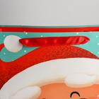 Пакет ламинированный вертикальный «Подарок от Деда Мороза», L 31 × 40 × 11,5 см - Фото 3