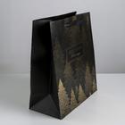 Пакет подарочный новогодний ламинированный «Чудесного Нового года», ML 23 х 27 х 11.5 см (комплект 6 шт) - фото 47492872