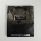 Пакет подарочный новогодний ламинированный «Чудесного Нового года», ML 23 х 27 х 11.5 см (комплект 6 шт) - фото 47492874