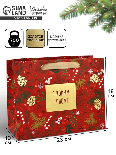 Пакет подарочный новогодний ламинированный «С Новым годом», MS 23×18×10 см