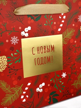 Пакет подарочный новогодний ламинированный «С Новым годом», MS 23?18?10 см (комплект 2 шт)
