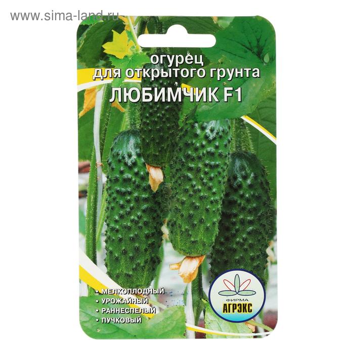 Сорт огурцов любимчик. Мамины любимчики. Сорт огурцов любимчик. Семена гавриш дуэт. Сорт огурцов любимчик.