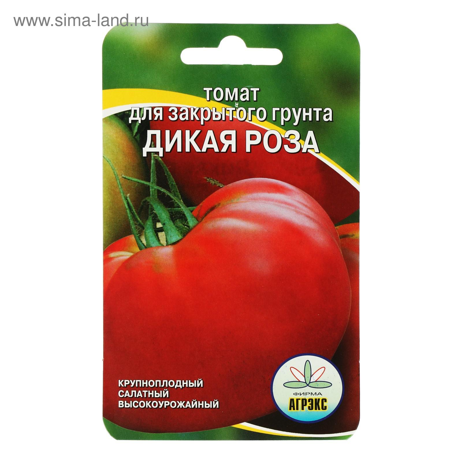 Томат дикая роза характеристика и описание сорта фото отзывы урожайность - SadPh