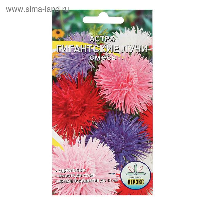 Семена цветов однолетние Астра Гигантские лучи Смесь 0,2 - Фото 1