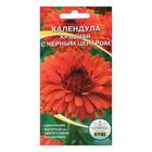 Семена цветов однолетние Календула махровая красная с черным центром центром 0,2 г - Фото 1