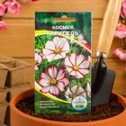 Семена цветов однолетние Космея Карусель 0,2 - Фото 3