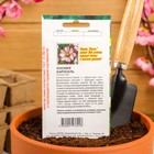 Семена цветов однолетние Космея Карусель 0,2 - Фото 4