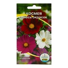 Семена цветов однолетние «Космея смесь» 0.2 - Фото 1