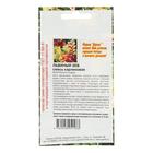 Семена цветов однолетние Львиный зев карликовая смесь 0,1 - Фото 2