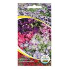 Семена цветов Аубреция "Смесь", 0,1 г - Фото 3