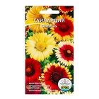 Семена цветов Гайлардия «Смесь», 0.1 г - Фото 1