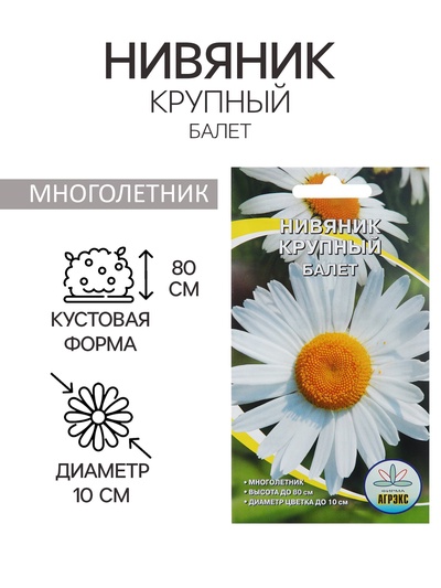 Семена цветов Нивянник, многолетний, белый 0,1 г