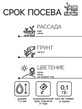 Семена цветов Нивянник, многолетний, белый 0,1 г (комплект 2 шт)