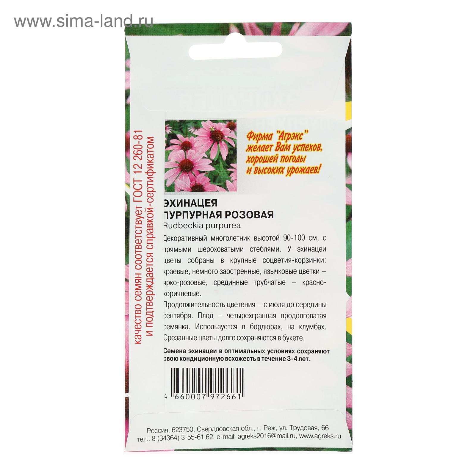 Эхинацея Цветок Купить Семена Многолетней На Авито